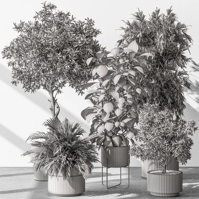 Indoor Plant 531 -Tree in Pot — Descargar