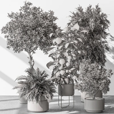 Indoor Plant 531 -Tree in Pot — Ver 2
