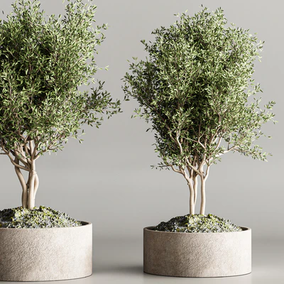 indoor plant stand 61 — Ver 4