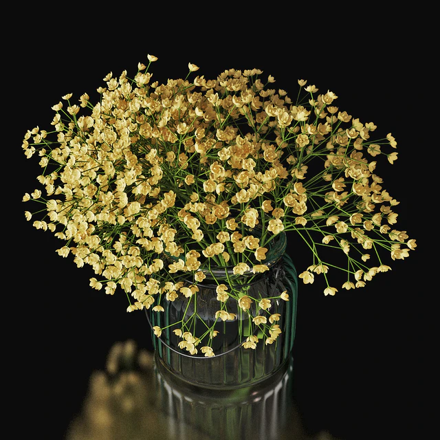 Gypsophila 03 — Descargar