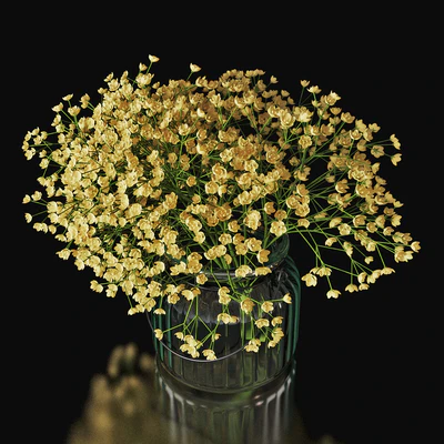 Gypsophila 03 — Ver 4