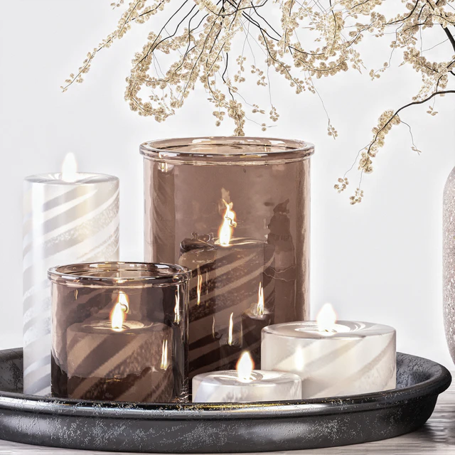 Decorative Set 14 - Candles and Branches in Concrete Vase — Скачать