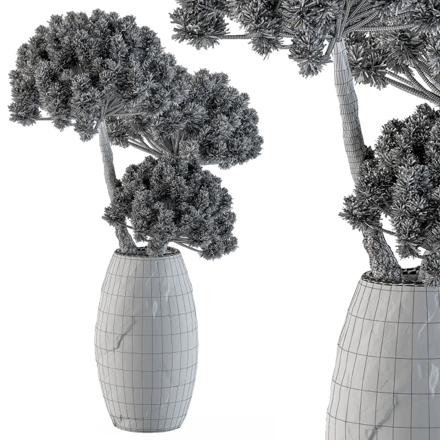 Dry Decorative Plant — Скачать
