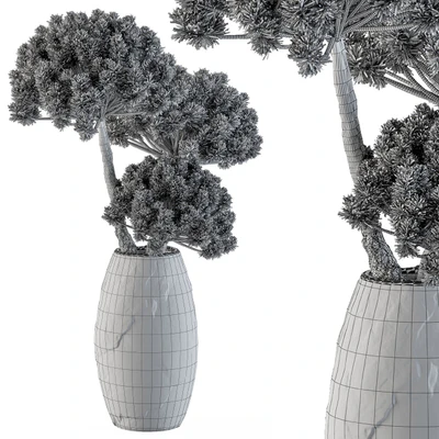 Dry Decorative Plant — Вид 3
