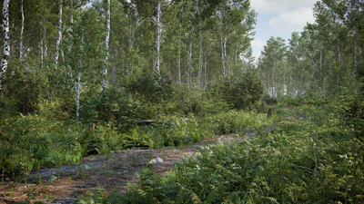 biome 02 — Ver 2