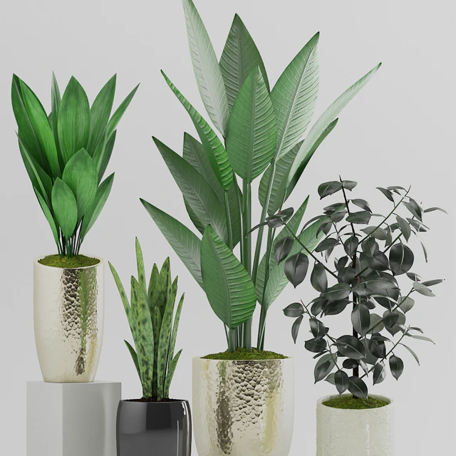 Plant 89 — Descargar