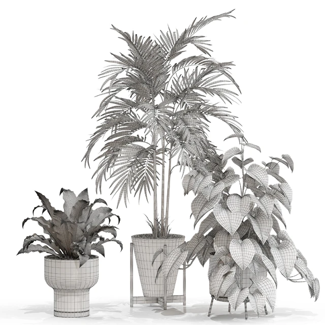 Plants collection 717 — Descargar