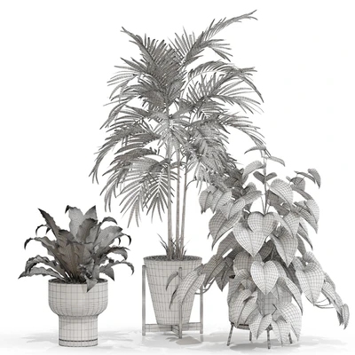 Plants collection 717 — Ver 2