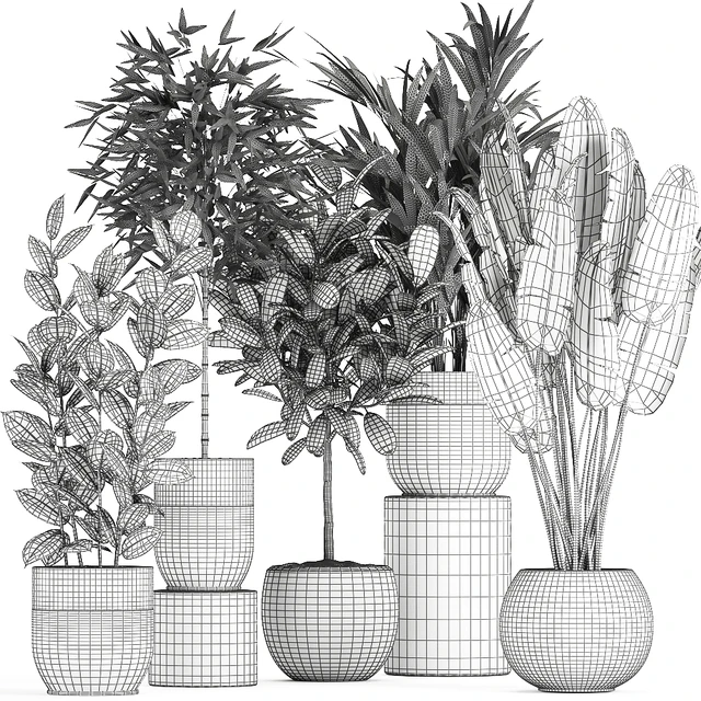 Collection of exotic plants in black pots with Bamboo bush, ficus, palm, banana, Plumeria. Set 715. — Descargar