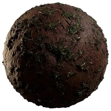 scarce grass on damp soil 011 — Descargar