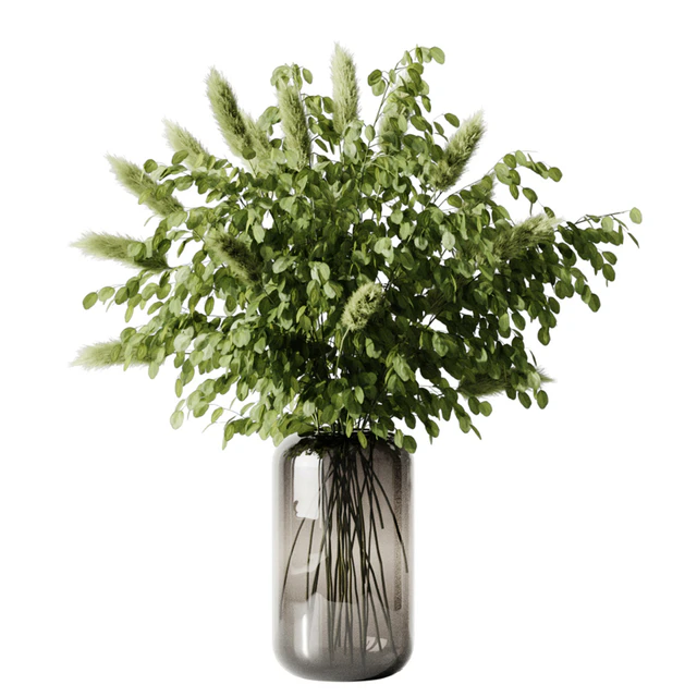 Plant 3 — Descargar