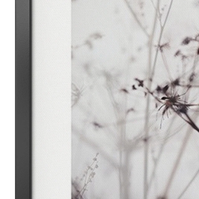 Dry plant set — Descargar