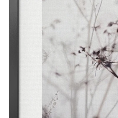 Dry plant set — Ver 2
