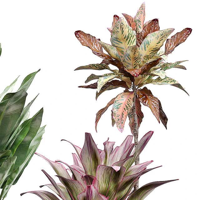 INTERIOR FLOWER PACK 29 — Descargar