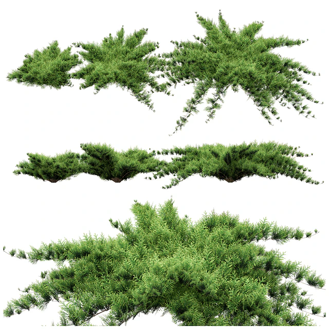 Juniper — Скачать