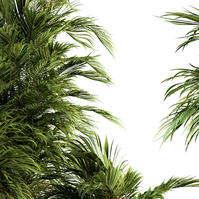 Indoor Plant Set 88 - Tropical — Descargar