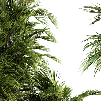 Indoor Plant Set 88 - Tropical — Ver 2