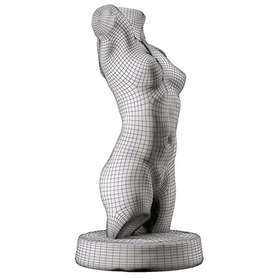 Female torso — Вид 3