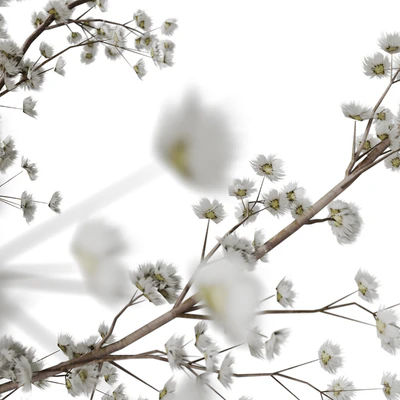 bouquet 09 — Ver 3