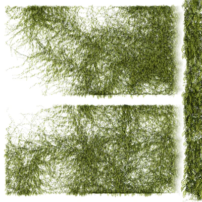 Leaves for walls v2 — Ver 1