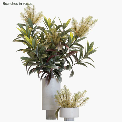 Branches in vases #12 — Скачать