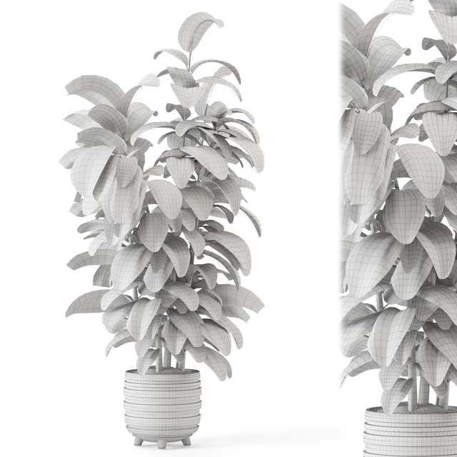 Indoor Plants in rusty Concrete Pot - Set 1209 — Descargar