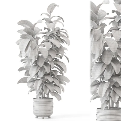 Indoor Plants in rusty Concrete Pot - Set 1209 — Ver 2