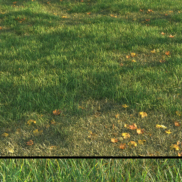 grass011 — Descargar