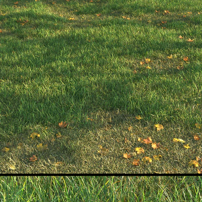grass011 — Ver 1