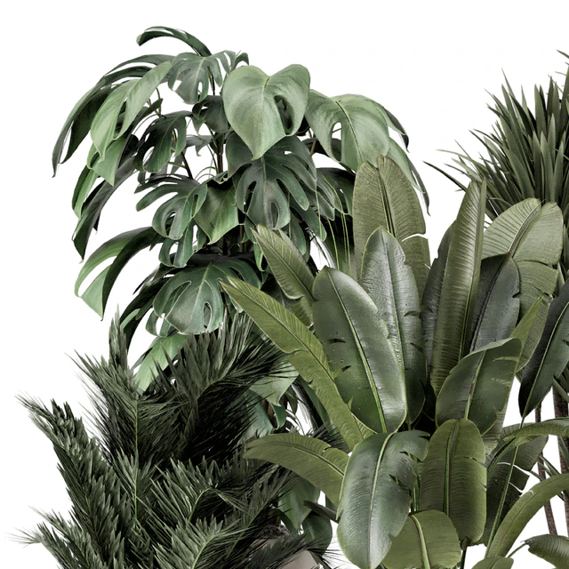 Indoor Plants  in rusty Concrete Pot - Set 1331 — Скачать