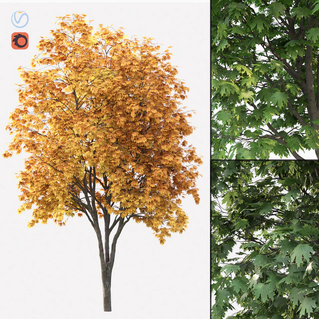 Acer — Descargar
