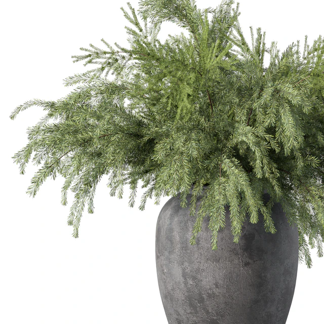 Bouquet Pine Branches Set.27 — Descargar