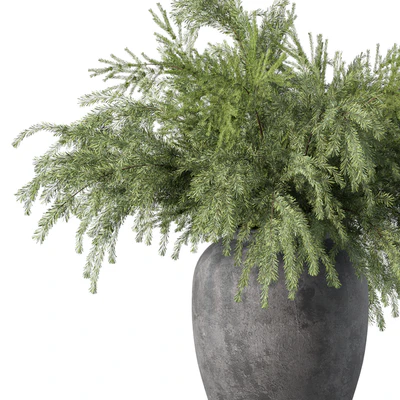 Bouquet Pine Branches Set.27 — Ver 3
