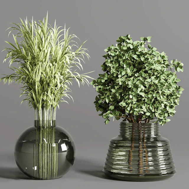 collection Plants Bouquet Indoor glass vase — Скачать