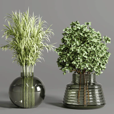 collection Plants Bouquet Indoor glass vase — Вид 2