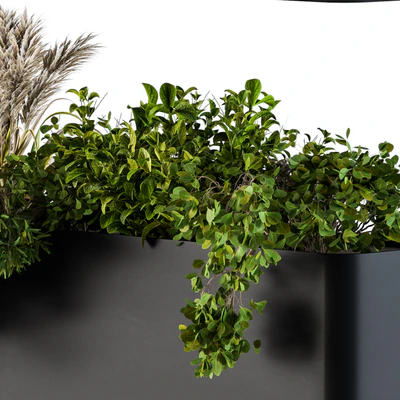 Plant Box on Wall 04 — Ver 4