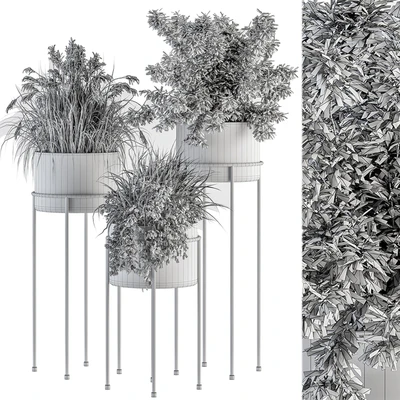 indoor Plant Set 370 - Tree and Plant Set Stand pot — Вид 3