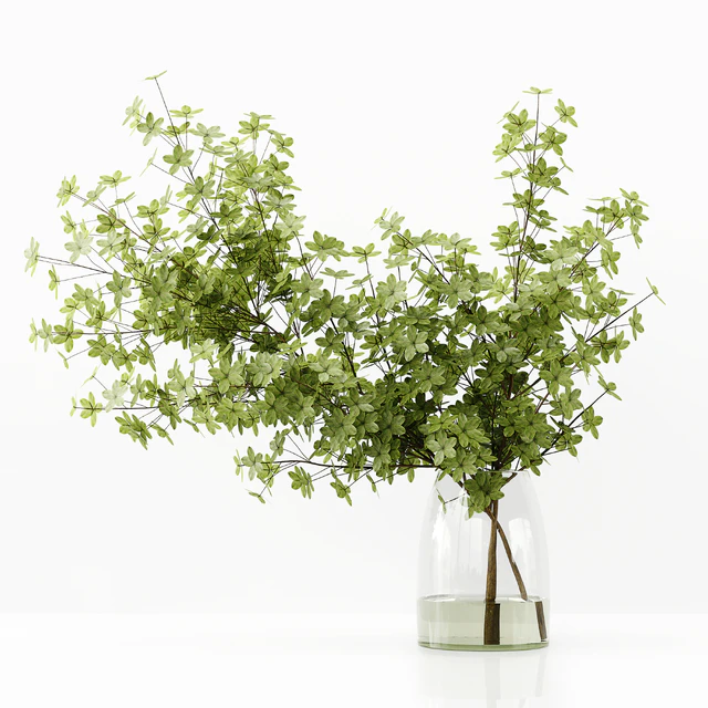 Collection Indoor Plants 037 — Descargar