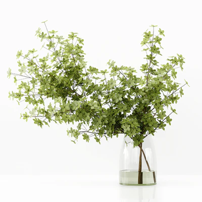 Collection Indoor Plants 037 — Ver 4