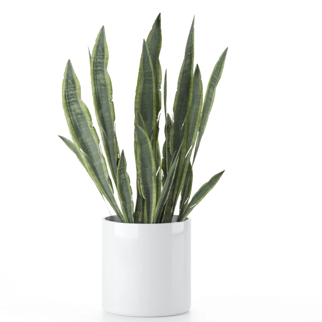 Plant-Set-001 — Descargar