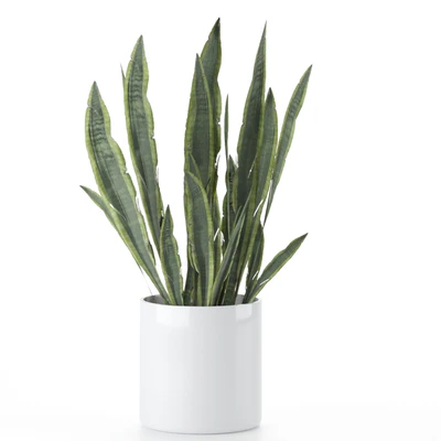 Plant-Set-001 — Ver 3