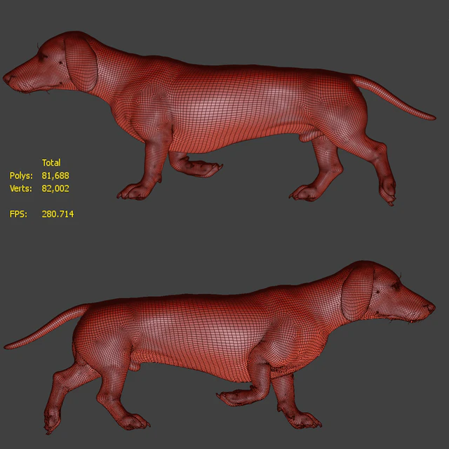 Dog Dachshund — Скачать