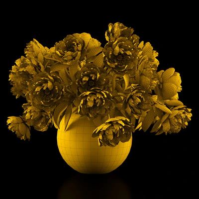 White peonies — Вид 3