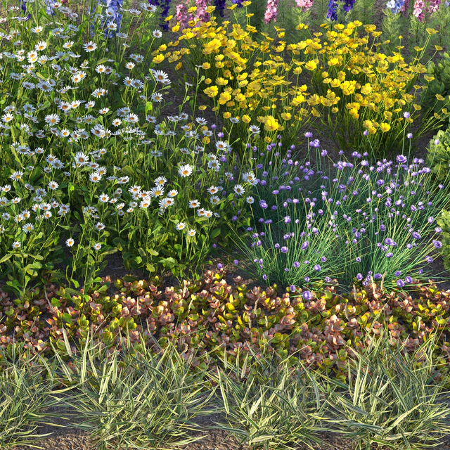 Flower garden 2 — Descargar