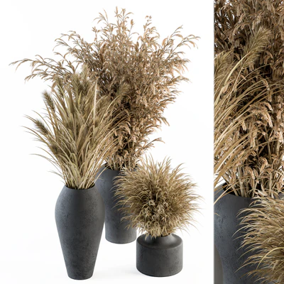 Dry plants 81 - Dried Plants Set — Ver 1