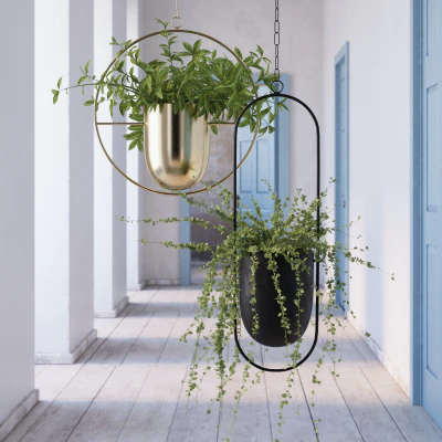 038 — скачать