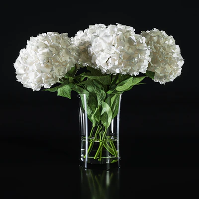 Hydrangea set 002 — Вид 3