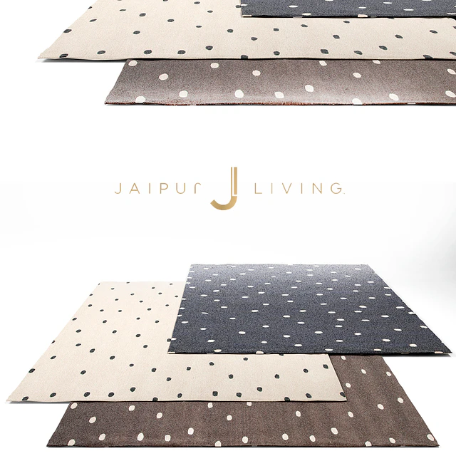 Jaipur Living Contemporary Rug Set 4 — Descargar