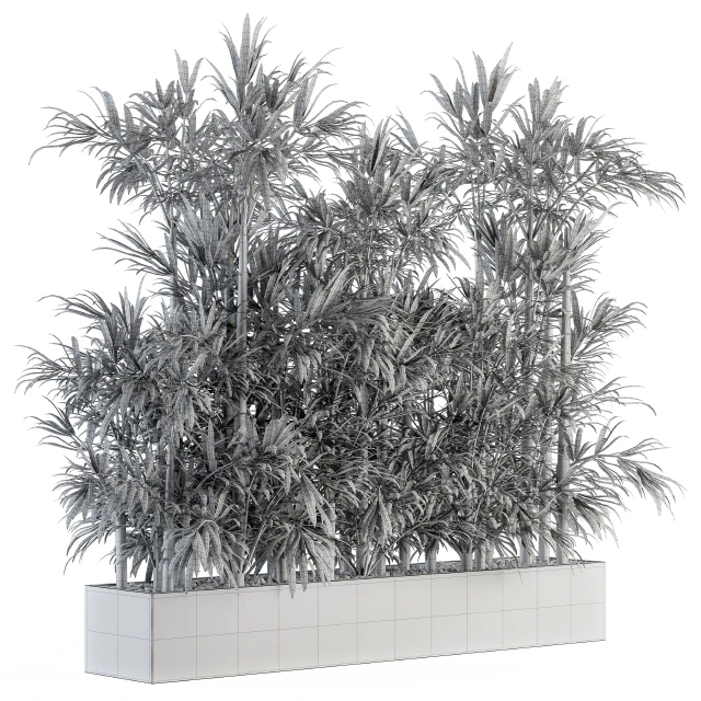 Indoor Plant Set 144 - Bamboo in Plant Box — Descargar