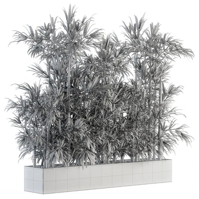 Indoor Plant Set 144 - Bamboo in Plant Box — Ver 2